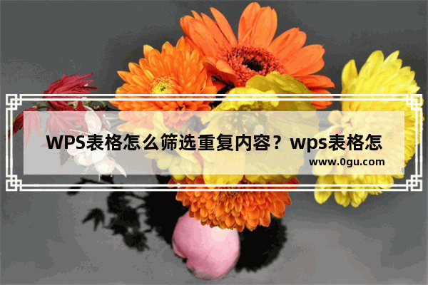 WPS表格怎么筛选重复内容？wps表格怎么筛选重复项？