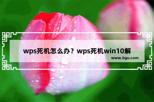 wps死机怎么办？wps死机win10解决方法分享！