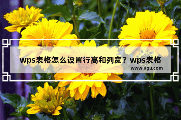 wps表格怎么设置行高和列宽？wps表格行高和列宽设置方法