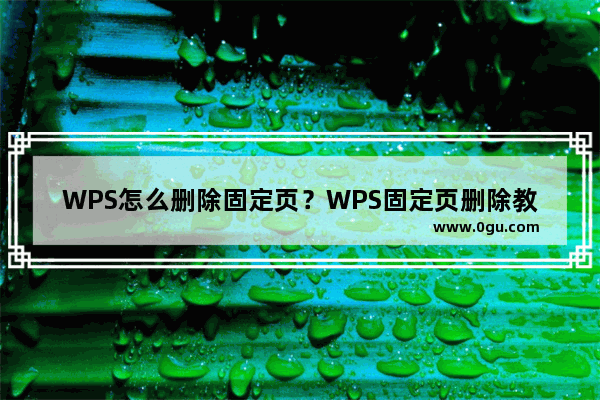 WPS怎么删除固定页？WPS固定页删除教程