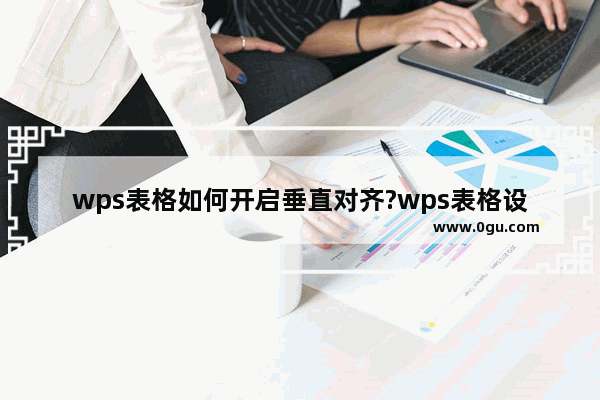 wps表格如何开启垂直对齐?wps表格设置垂直对齐选项方法介绍