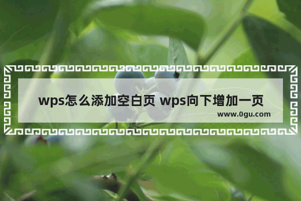 wps怎么添加空白页 wps向下增加一页空白页教程