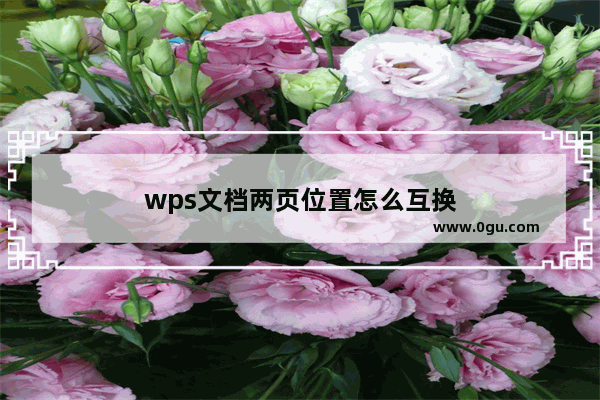 wps文档两页位置怎么互换