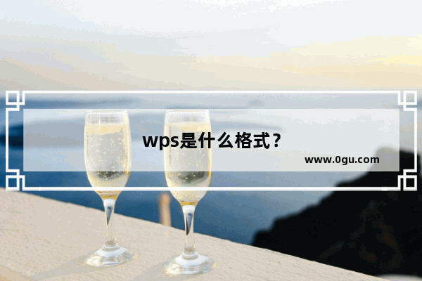 wps是什么格式？