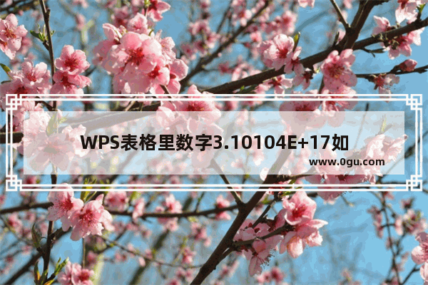 WPS表格里数字3.10104E+17如何改？WPS表格里数字3.10104E+17修改方法