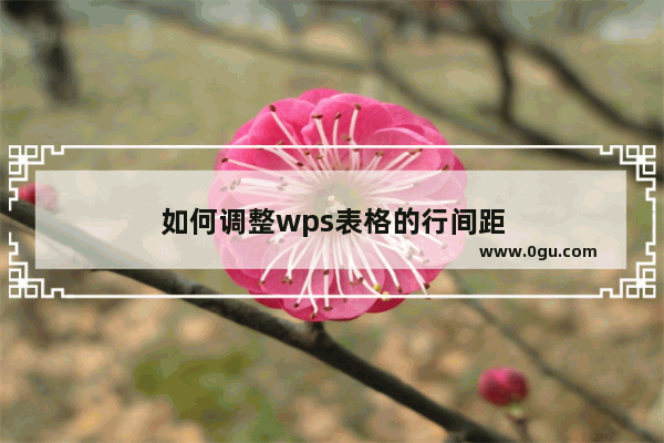 如何调整wps表格的行间距