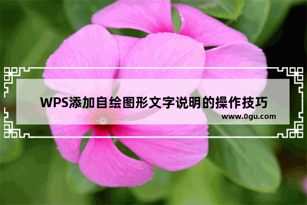 WPS添加自绘图形文字说明的操作技巧