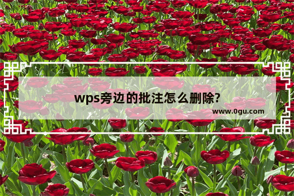 wps旁边的批注怎么删除?