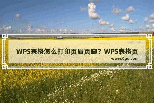 WPS表格怎么打印页眉页脚？WPS表格页眉页脚打印方法教程