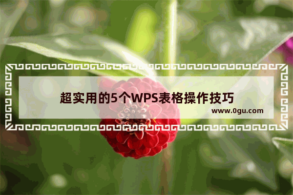 超实用的5个WPS表格操作技巧