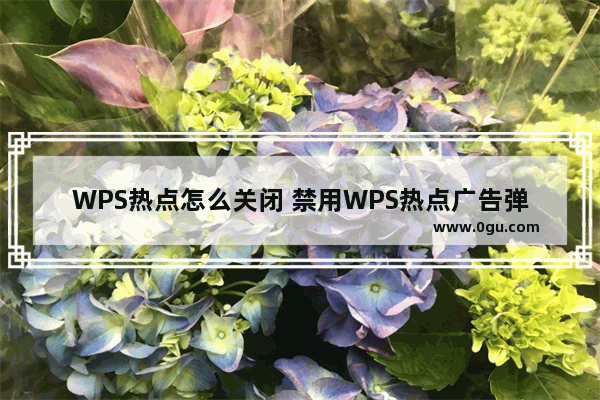 WPS热点怎么关闭 禁用WPS热点广告弹窗的方法