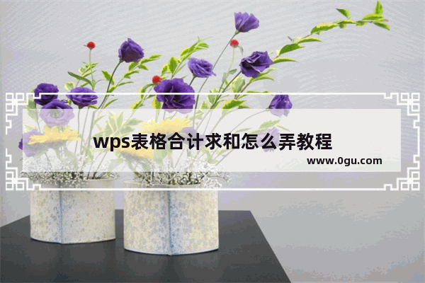 wps表格合计求和怎么弄教程