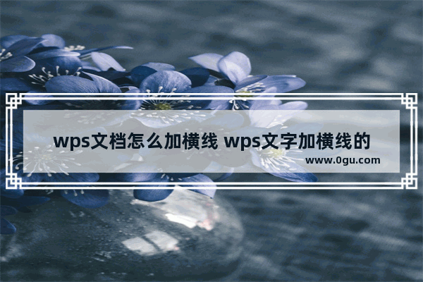 wps文档怎么加横线 wps文字加横线的方法