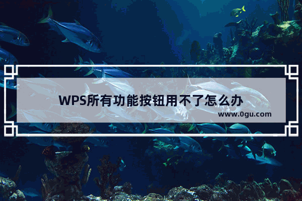 WPS所有功能按钮用不了怎么办