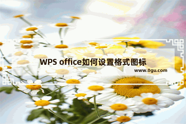 WPS office如何设置格式图标