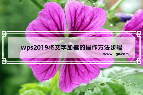 wps2019将文字加框的操作方法步骤