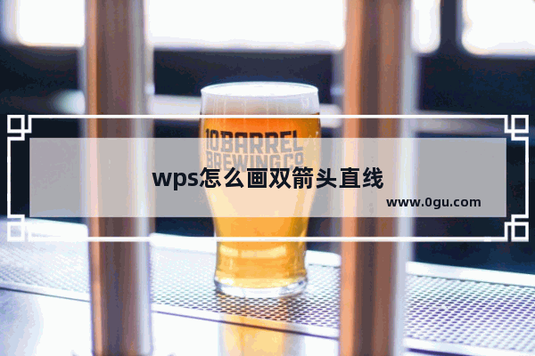 wps怎么画双箭头直线