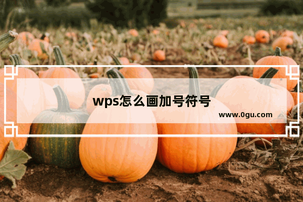 wps怎么画加号符号