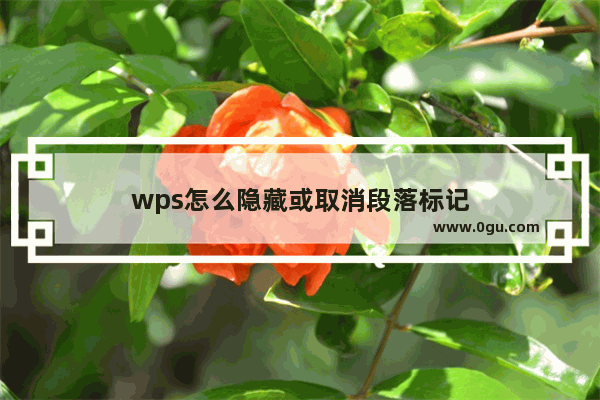 wps怎么隐藏或取消段落标记