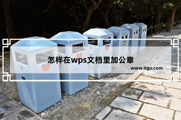 怎样在wps文档里加公章