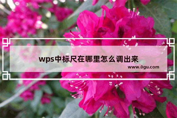 wps中标尺在哪里怎么调出来