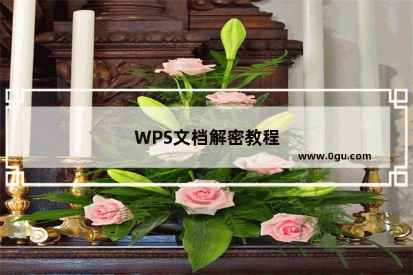 WPS文档解密教程