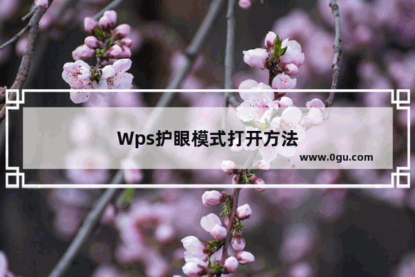 Wps护眼模式打开方法