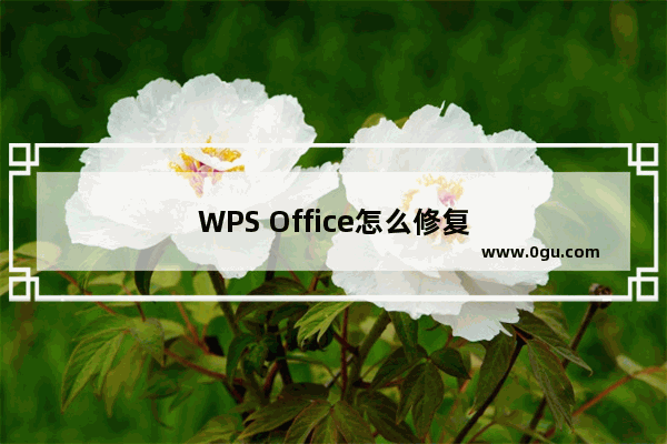 WPS Office怎么修复