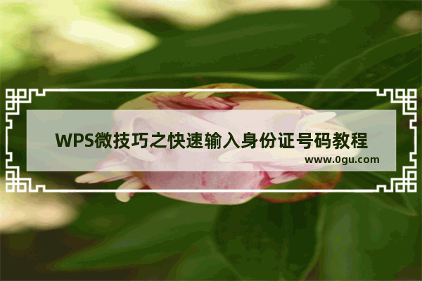 WPS微技巧之快速输入身份证号码教程