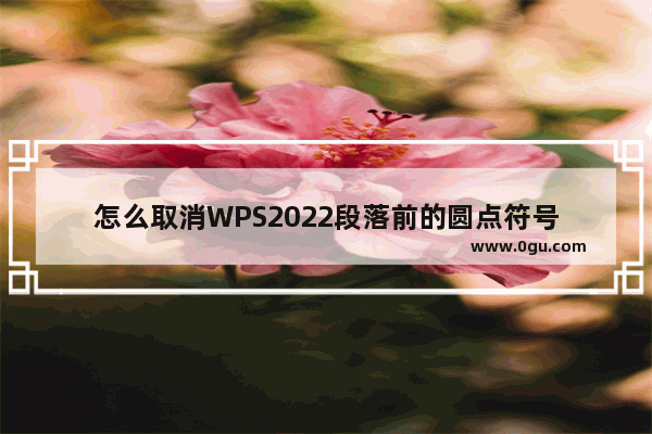 怎么取消WPS2022段落前的圆点符号