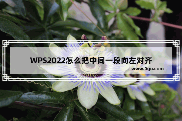 WPS2022怎么把中间一段向左对齐