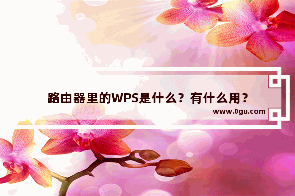 路由器里的WPS是什么？有什么用？