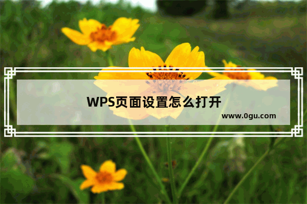 WPS页面设置怎么打开