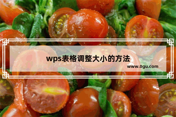 wps表格调整大小的方法