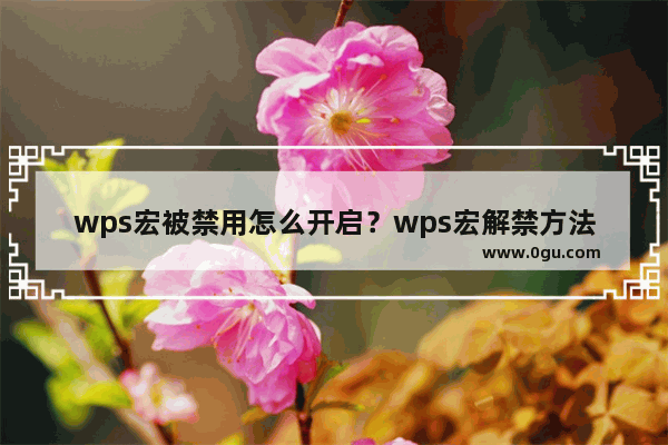 wps宏被禁用怎么开启？wps宏解禁方法