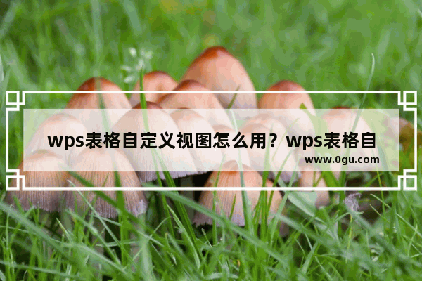 wps表格自定义视图怎么用？wps表格自定义视图的用法