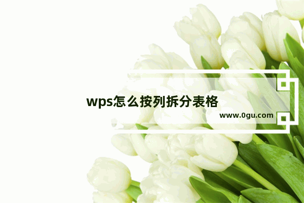 wps怎么按列拆分表格