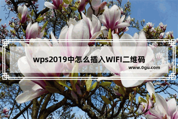 wps2019中怎么插入WIFI二维码