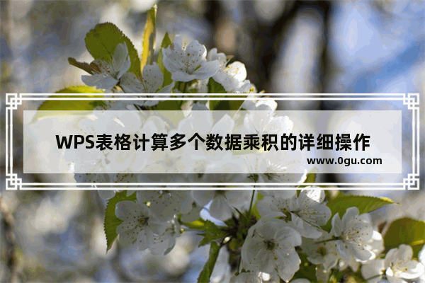 WPS表格计算多个数据乘积的详细操作