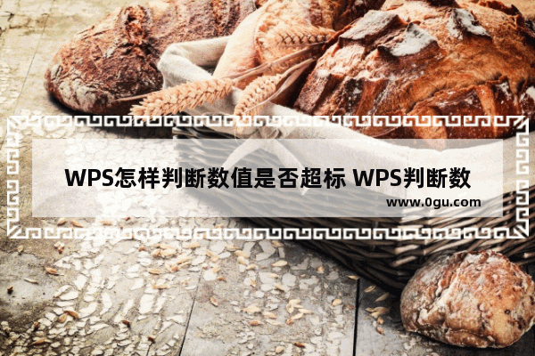 WPS怎样判断数值是否超标 WPS判断数值超标的方法