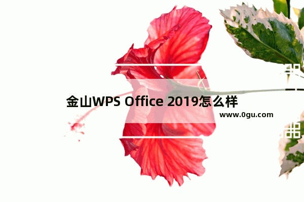 金山WPS Office 2019怎么样？WPS Office 2019功能介绍