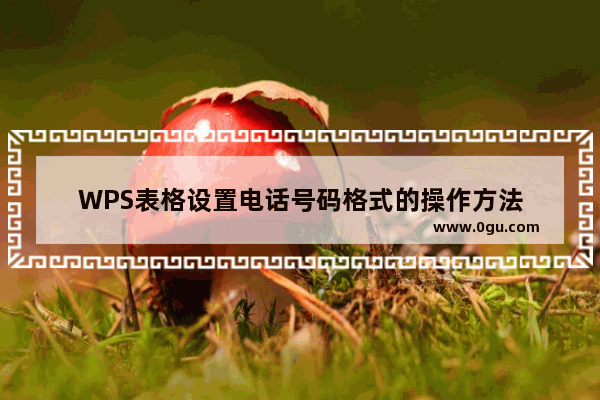 WPS表格设置电话号码格式的操作方法