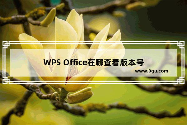 WPS Office在哪查看版本号