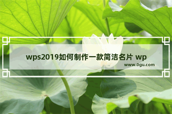 wps2019如何制作一款简洁名片 wps2019制作一款简洁名片的方法