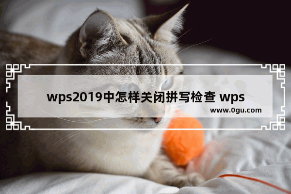 wps2019中怎样关闭拼写检查 wps2019关闭拼写检查的方法步骤