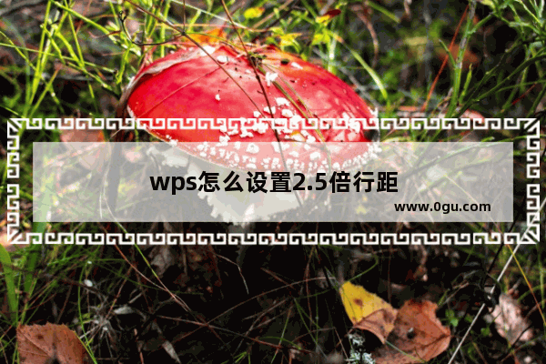 wps怎么设置2.5倍行距