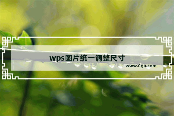 wps图片统一调整尺寸