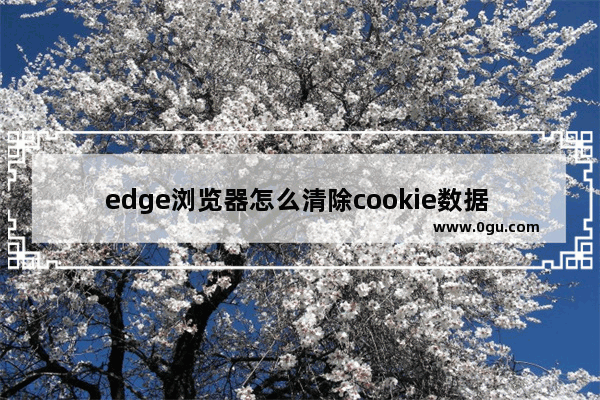 edge浏览器怎么清除cookie数据 edge浏览器清除cookie和其他站点数据的方法