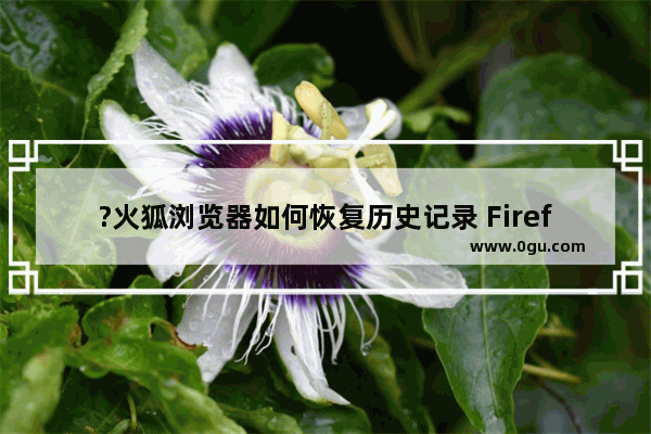 ?火狐浏览器如何恢复历史记录 Firefox中恢复历史记录的方法教程