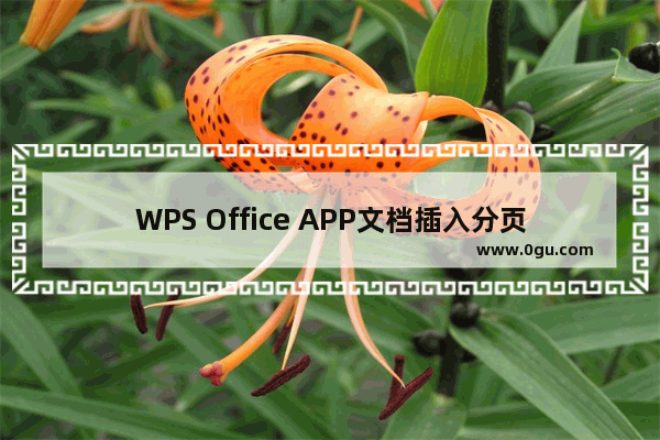 WPS Office APP文档插入分页符的图文教程